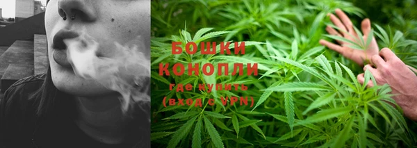 прущая мука Новозыбков