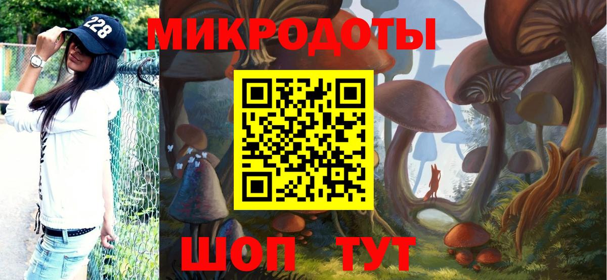 Калуга  Псилоцибиновые грибы GOLDEN TEACHER  где купить наркоту  Вход с VPN  Галлюциногенные грибы Psilocybe 