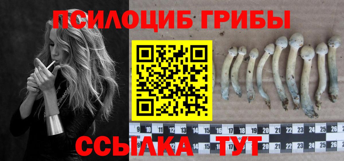 Галлюциногенные грибы Cubensis Калуга